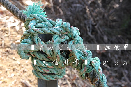 網(wǎng)貸加信用卡欠了一百萬怎么辦(欠信用卡網(wǎng)貸幾十萬)