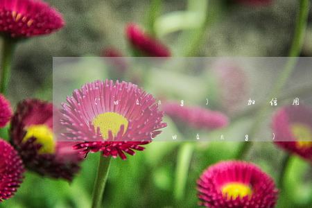 網(wǎng)貸加信用卡欠了幾十萬怎么還-網(wǎng)貸加信用卡欠了幾十萬怎么還款