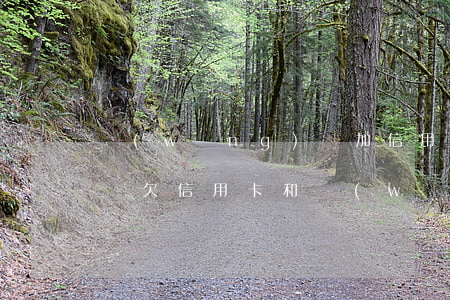 網(wǎng)貸加信用卡欠了幾十萬怎么還(欠信用卡和網(wǎng)貸二十萬怎么辦)