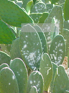 網(wǎng)貸加外債共欠四萬塊怎么辦(欠了14萬外債怎么辦)