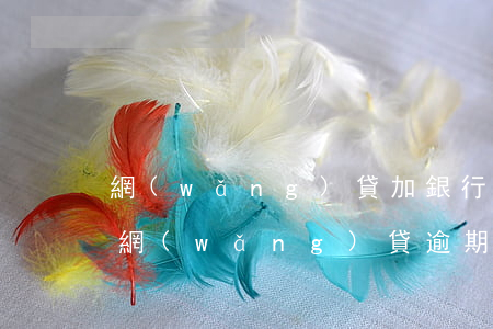 網(wǎng)貸加銀行貸都要逾期了(銀行網(wǎng)貸逾期怎么辦)