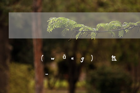 網(wǎng)貸包裝資料不用還款是真的嗎-