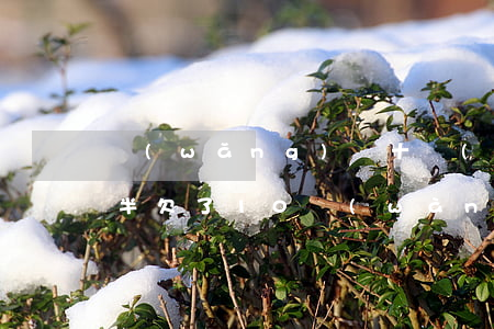 網(wǎng)貸十萬(wàn)欠了一年半(欠了10萬(wàn)網(wǎng)貸)