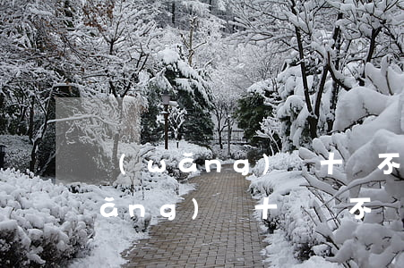 網(wǎng)貸十萬不還會怎么樣（網(wǎng)貸十萬會不會起訴你）
