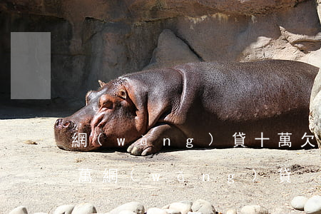 網(wǎng)貸十萬欠了一年半(欠了10萬網(wǎng)貸)