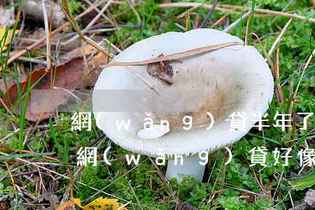 網(wǎng)貸半年了又開始催收了(最近網(wǎng)貸好像都停止催收了)