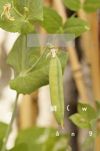 網(wǎng)貸半年前逾期過兩次(網(wǎng)貸逾期一兩次會怎么樣)