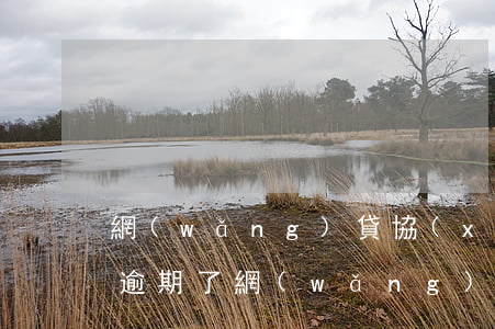 網(wǎng)貸協(xié)商分期后又逾期了(網(wǎng)貸逾期能協(xié)商分期處理嘛)
