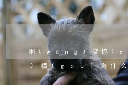 網(wǎng)貸協(xié)商機(jī)構(gòu)為什么要押電話卡-網(wǎng)貸協(xié)商機(jī)構(gòu)為什么要押電話卡呢