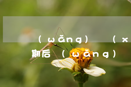 網(wǎng)貸協(xié)商逾期前逾期后(網(wǎng)貸逾期如何協(xié)商)