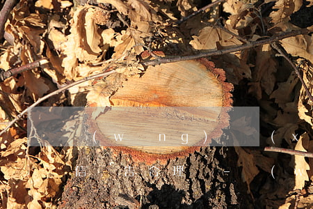網(wǎng)貸協(xié)商還款要征信報告合理嗎?-網(wǎng)貸協(xié)商還款要求提供征信報告