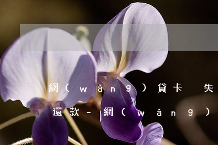 網(wǎng)貸卡丟失補辦新卡還能正常還款-網(wǎng)貸卡丟失補辦新卡還能正常還款嗎