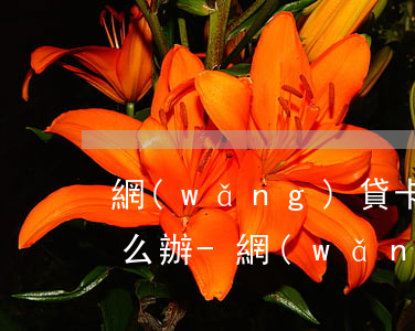網(wǎng)貸卡片逾期了信用社貸款怎么辦-網(wǎng)貸卡片逾期了信用社貸款怎么辦理