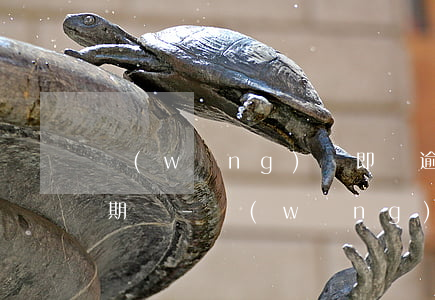 網(wǎng)貸即將逾期可以申請二次分期嗎-網(wǎng)貸即將逾期可以申請二次分期嗎安全嗎