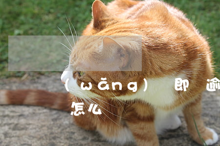網(wǎng)貸即將逾期應(yīng)該怎么辦