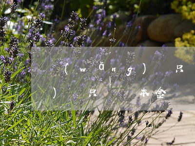 網(wǎng)貸只償還本金 網(wǎng)貸只償還本金