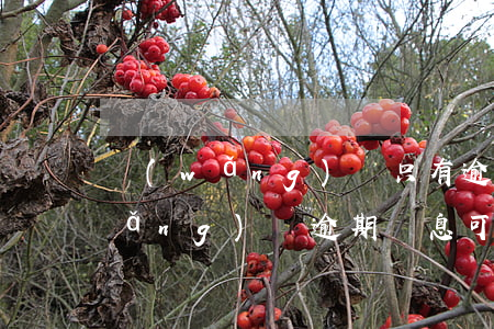 網(wǎng)貸只有逾期才會減免(網(wǎng)貸逾期罰息可以免除嗎)