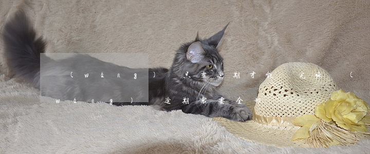 網(wǎng)貸只有逾期才能還完嘛(網(wǎng)貸逾期需要全部還?)