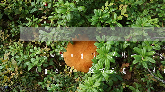 網(wǎng)貸只用一個(gè)月哪個(gè)還款方式高點(diǎn)-網(wǎng)貸都是一個(gè)月還一次