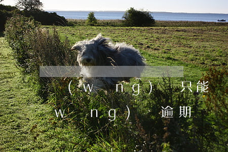 網(wǎng)貸只能還不能借逾期了(網(wǎng)貸逾期沒還還能借嗎)