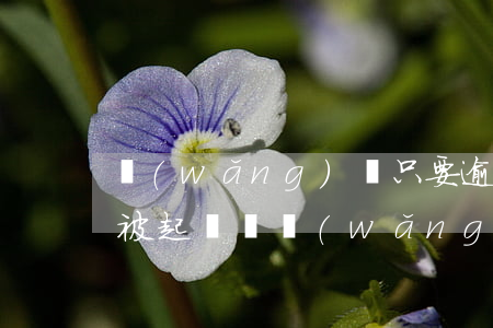 網(wǎng)貸只要逾期都會(huì)被起訴嗎(網(wǎng)貸只要逾期都會(huì)被起訴嗎)