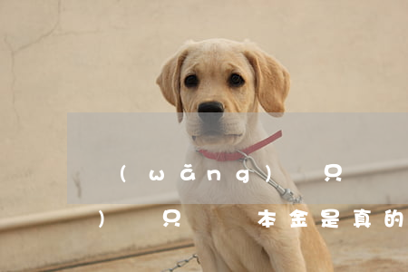 網(wǎng)貸只讓還本金(網(wǎng)貸只讓還本金是真的嗎?)
