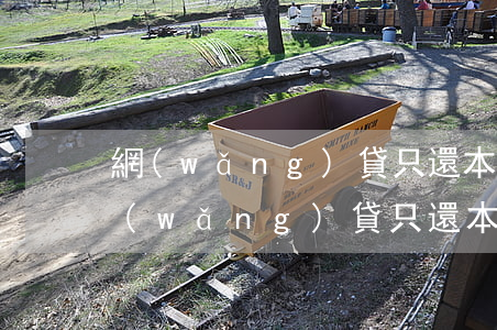 網(wǎng)貸只還本金和利息可以嗎（網(wǎng)貸只還本金靠譜嗎）
