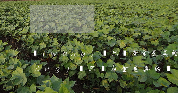 網(wǎng)貸只還本金是真的嗎(網(wǎng)貸只還本金是真的嗎還是假的)