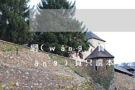 網(wǎng)貸只還本金真的假的(網(wǎng)貸只還本金是真的嗎)