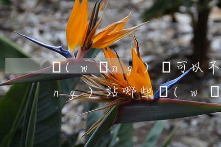 網(wǎng)貸可以不還嗎官方網(wǎng)站(哪些網(wǎng)貸可以不還)