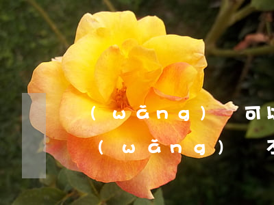 網(wǎng)貸可以不還的平臺有嗎(哪些網(wǎng)貸不用還了)