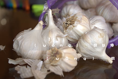 網(wǎng)貸可以停息協(xié)商嗎(網(wǎng)貸可以停息掛賬嗎)
