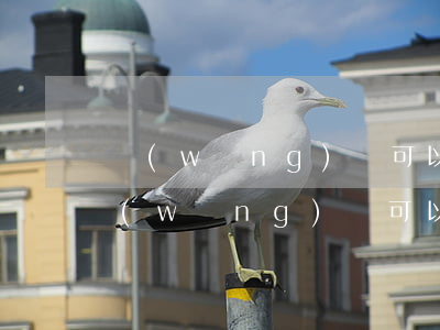 網(wǎng)貸可以停息掛賬二次分期(網(wǎng)貸可以二次分期嗎)