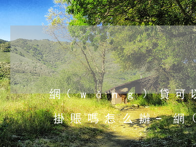 網(wǎng)貸可以協(xié)商停息掛賬嗎怎么辦-網(wǎng)貸可以申請(qǐng)停息掛賬嗎