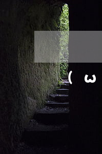 網(wǎng)貸可以協(xié)商停息掛賬嗎貼吧-網(wǎng)貸可以申請(qǐng)停息掛賬嗎