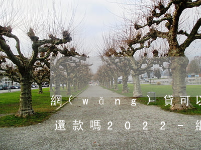 網(wǎng)貸可以協(xié)商延期還款嗎2022-網(wǎng)貸可以協(xié)商延期還款嗎2022年