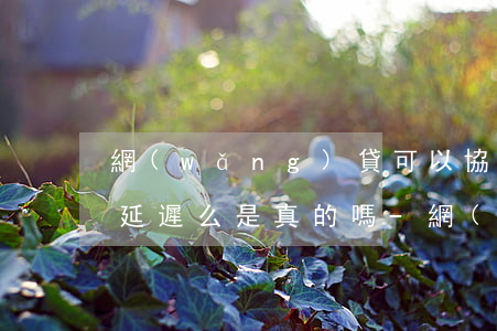 網(wǎng)貸可以協(xié)商還款延遲么是真的嗎-網(wǎng)貸可以協(xié)商還款延遲么是真的嗎知乎