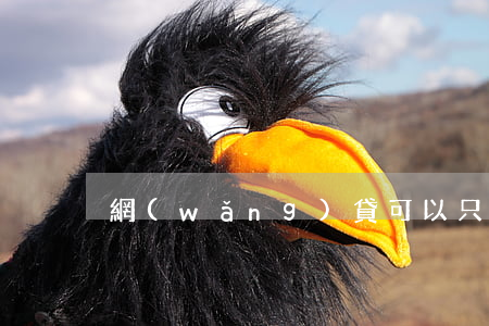網(wǎng)貸可以只還本金么