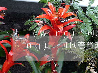 網(wǎng)貸可以夸省起訴嗎(網(wǎng)貸可以夸省起訴嗎)