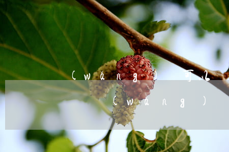 網(wǎng)貸可以幾個(gè)月不還錢嗎(網(wǎng)貸超過三個(gè)月不還會(huì)怎么樣)
