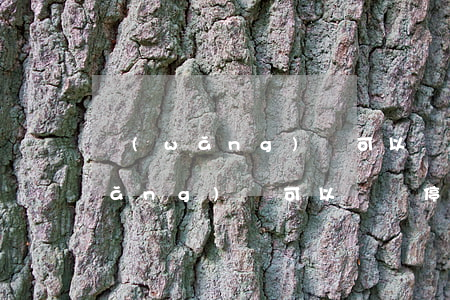 網(wǎng)貸可以掛帳停息嗎-網(wǎng)貸可以掛帳停息嗎怎么還