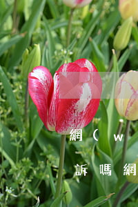 網(wǎng)貸可以網(wǎng)上起訴嗎(網(wǎng)貸可以網(wǎng)上起訴嗎)