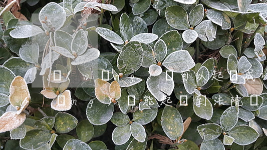 網(wǎng)貸可以起訴成功嗎-網(wǎng)貸能起訴到法院嗎