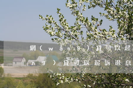 網(wǎng)貸可以起訴退息嗎(網(wǎng)貸可以起訴退息嗎法院)