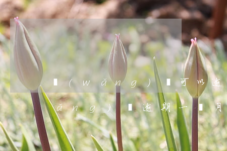 網(wǎng)貸可以逾期1個月嗎(網(wǎng)貸逾期一個月會被起訴嗎)