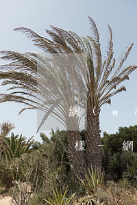 網(wǎng)貸合同和還款賬單利息不一樣-網(wǎng)貸合同和還款賬單利息不一樣怎么辦