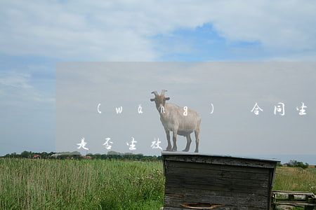 網(wǎng)貸合同生效時間，未到款合同是否生效