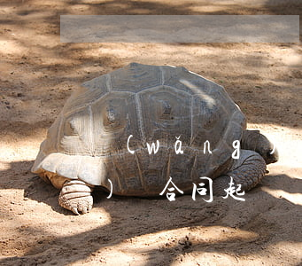 網(wǎng)貸合同起訴狀(網(wǎng)貸合同起訴狀)