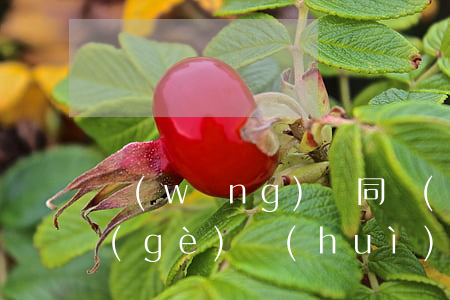 網(wǎng)貸同時(shí)逾期5個(gè)會(huì)怎樣(網(wǎng)貸逾期一兩次會(huì)怎么樣)