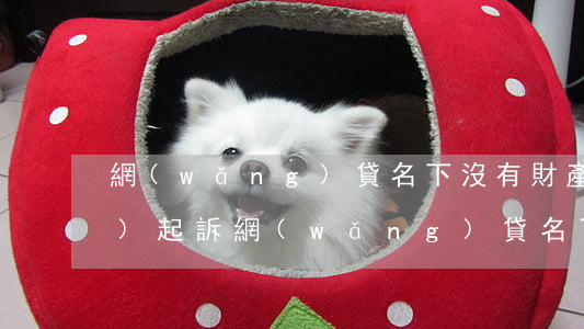 網(wǎng)貸名下沒有財產(chǎn)起訴(網(wǎng)貸名下沒有財產(chǎn)起訴怎么辦)